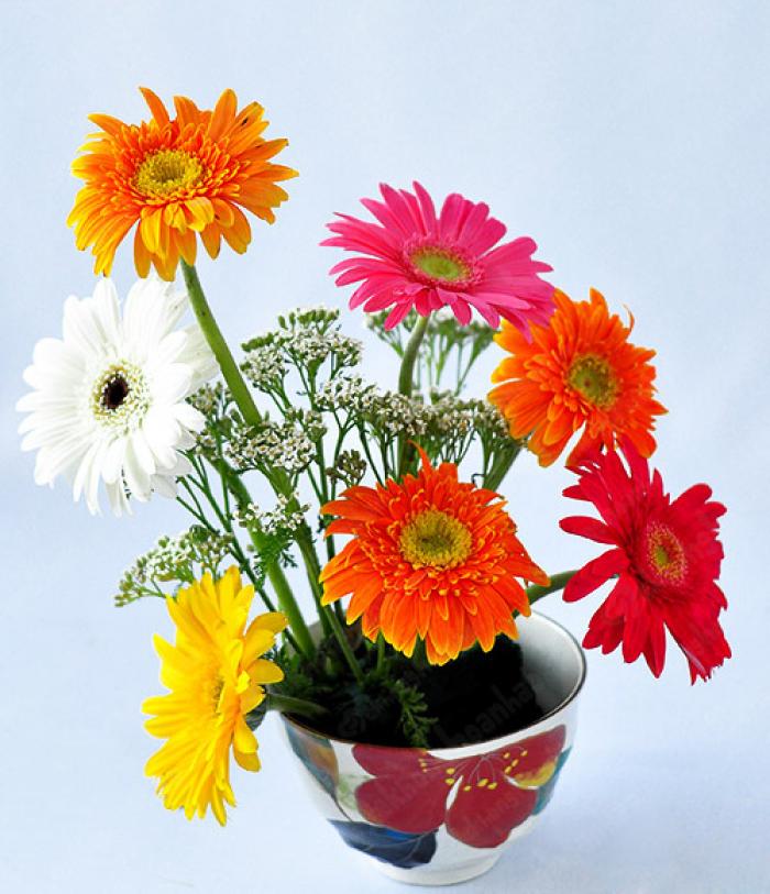 Cách cắm hoa đồng tiền trên bàn thờ ngày tết