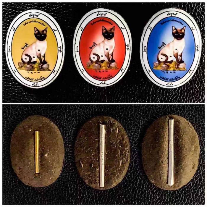 Chức năng của nhau thai mèo là gì? Nó thực sự có thể mang lại may mắn?