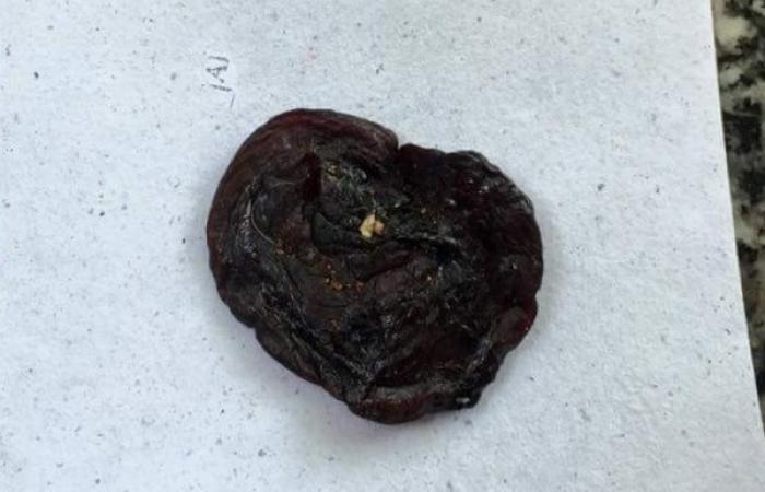 Chức năng của nhau thai mèo là gì? Nó thực sự có thể mang lại may mắn?