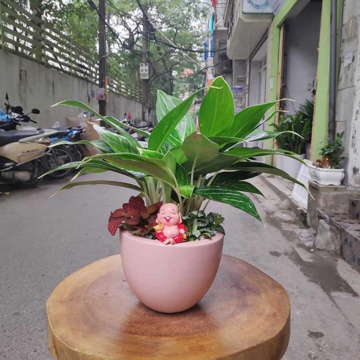 Hoàng tử quyến rũ - bao nhiêu tuổi?