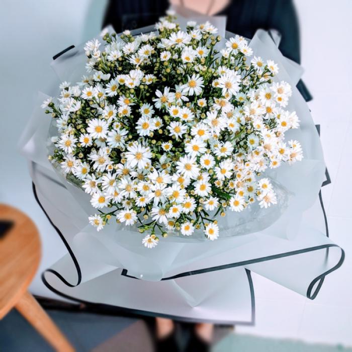 Thạch Thảo nghĩa là gì? Tại sao hoa được gọi là thiên thần 429875951