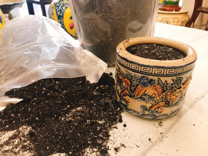 Một số bùa trừ tà dễ tìm, dễ sử dụng