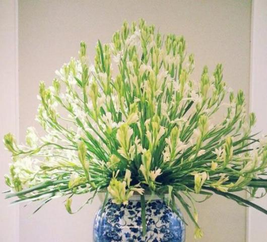 Hướng dẫn đặt hoa ly trên bàn thờ để thu hút tài lộc