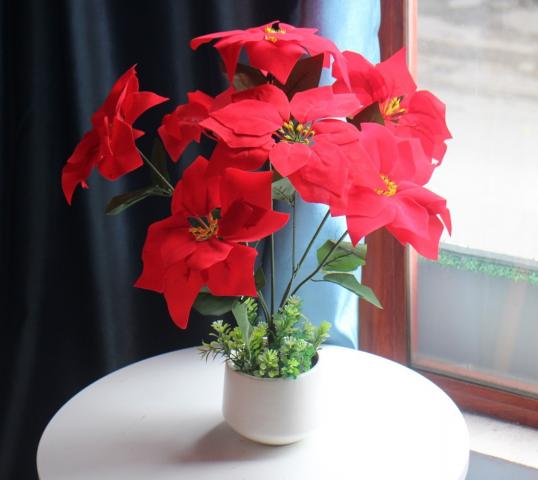 Ý nghĩa phong thủy của trạng nguyên